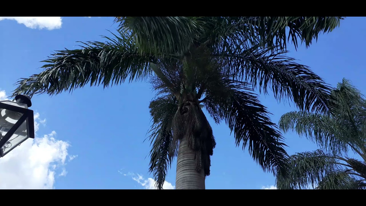 Praça do Santuário. Centro de Congonhas\MG