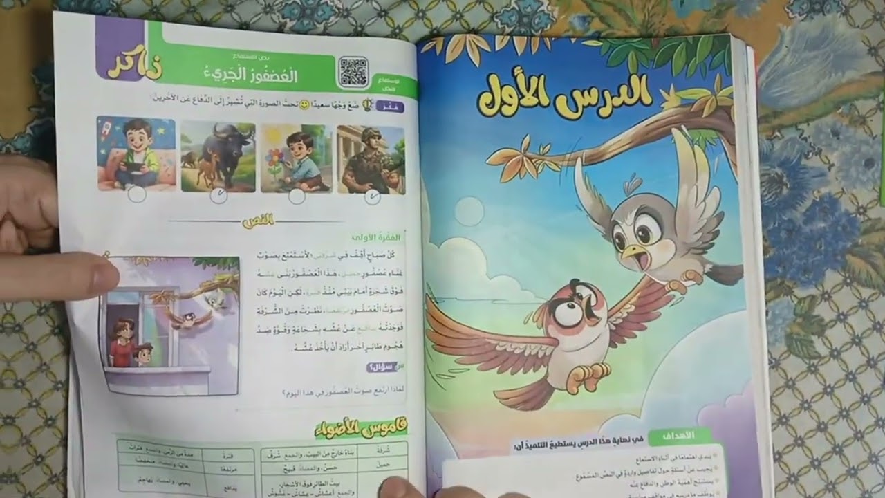 شرح درس العصفور الجريء وحل تدريبات كتاب الأضواء صفحة 163 إلى 166  لغة عربية الصف الثالث الابتدائي