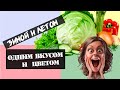 Зимой и летом одним вкусом и цветом - хранение овощей.