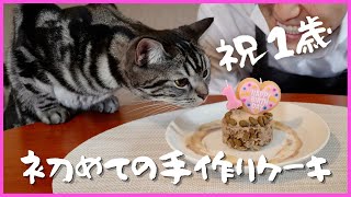 １歳の誕生日に初めての手作りケーキを大食いしてしまう猫