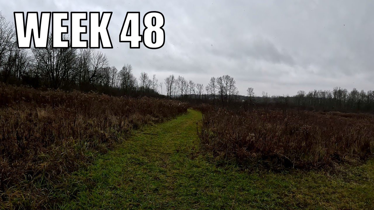 Ithaca Nature Walk (Week 48): Flurries! | GoPro 4K POV
