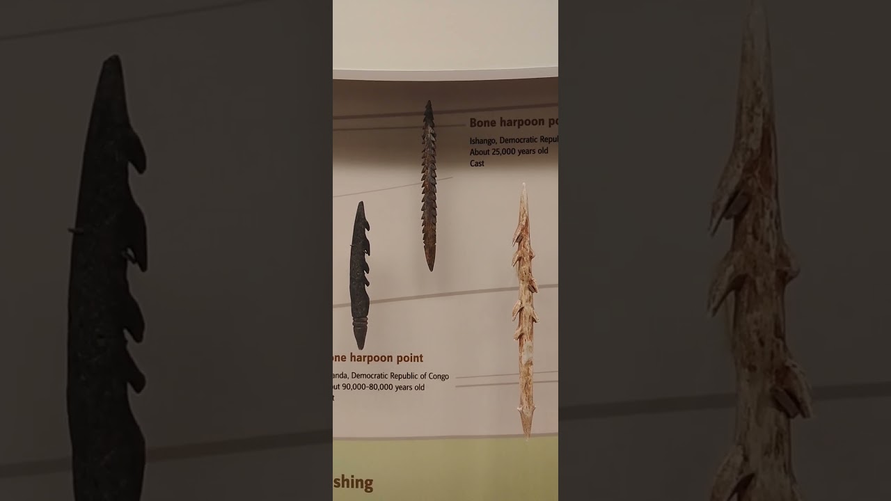 Fishing spear/hooks Tools made by ancient humans