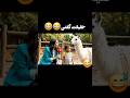 کوچولو درباره لاما گفت فامیلامون هم مهربونن هم ممکنه ت ف بندازه 