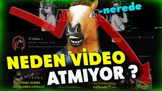 At Kafasi Neden Vi̇deo Atmiyor ? - Neden Gitti 