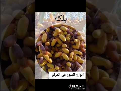 اصناف التمور العراقيه