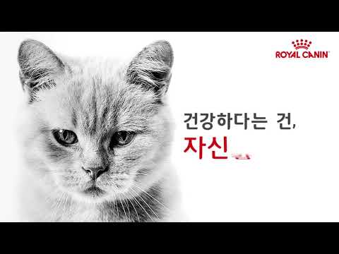 건강에 대한 바른 집념 로얄캐닌