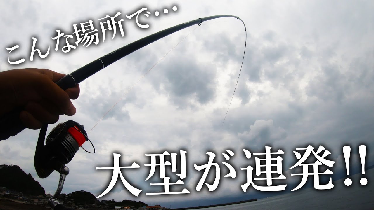 水深50cm超浅瀬の見えチヌ 黒鯛 フカセ釣り Youtube