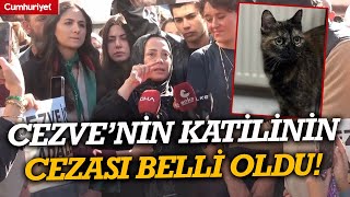 İşkence Edilerek Katledilmişti: Kedi Cezve’nin Katilinin Cezası Belli Oldu