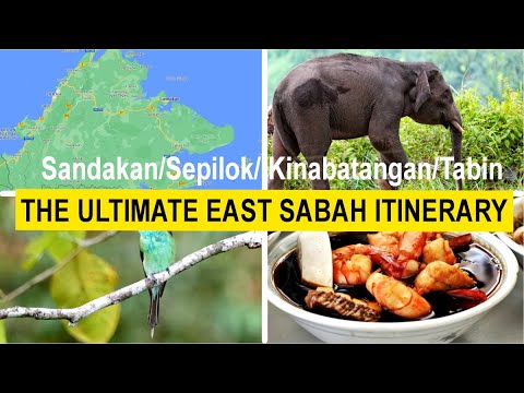 Video: Sandakan - Guide til Sandakan i Sabah, East Borneo