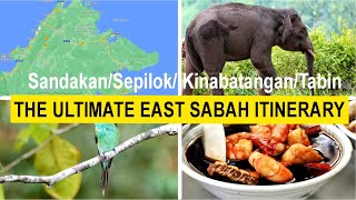 The ultimate itinerary to Sabah, Borneo (Sandakan,, Kinabatangan River, and Tabin) (EP 0 :Sabah)