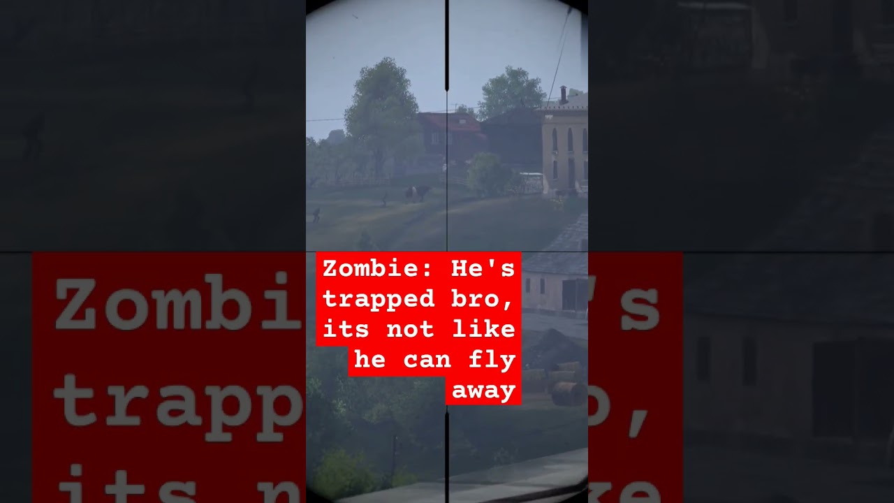 This is what the locals do for fun in Livonia #dayz