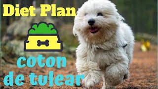 coton de tulear | diet plan | amazing facts in hindi | animal channel hindi by Animal Channel Hindi 914 views 5 years ago 2 minutes, 39 seconds