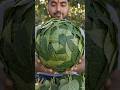 Making a GIANT Kiwi from Leaves 😳🥝 | 8s Satisfying Craft #shorts
