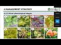 SERIE DE WEBINAIRE SCIENTIFIQUE DU CICC (9e Session)