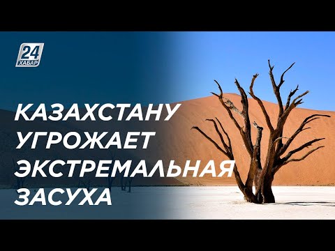 Video: Orenburgas reģiona klimata īpatnības