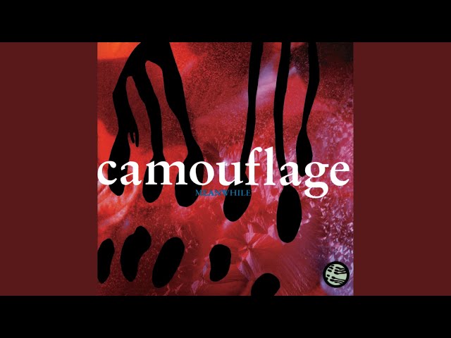 Camouflage - Who The Hell Is David Butler