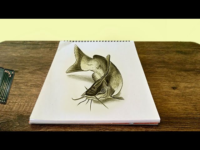 Catfish drawing, How to draw a catfish