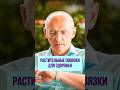 🌿 Растительные повязки для здоровья. Торсунов О. Г.