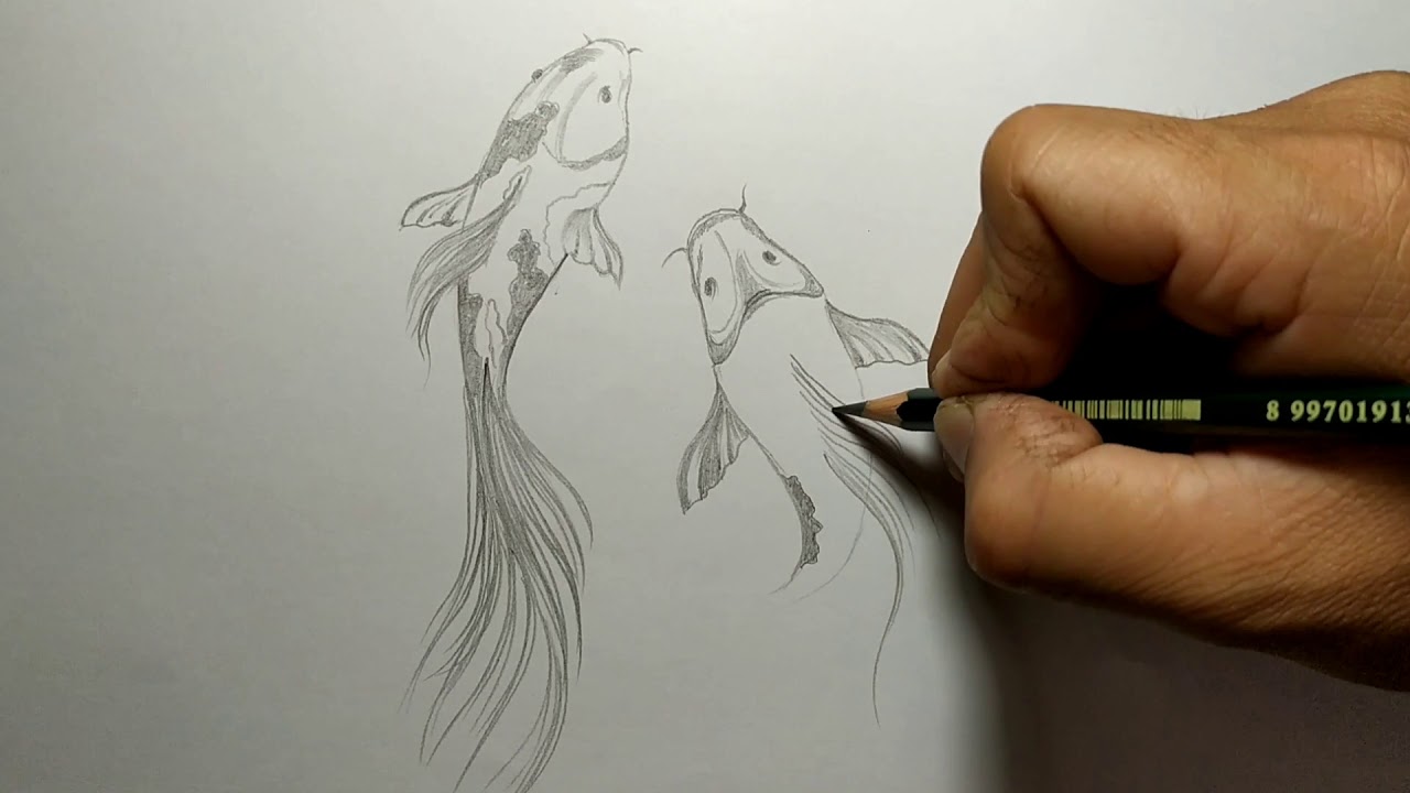 How To Drawing Fish Koi Cara Menggambar Ikan Koi