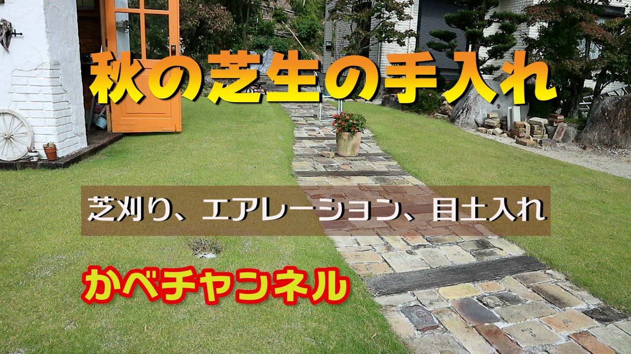 秋の芝生の手入れ 穂の刈り取り エアレーション 目土入れ 庭づくり 10月のお世話 Youtube