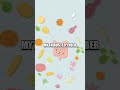 The Gut Fuel Triangle Fat Burn Digestion Wellness