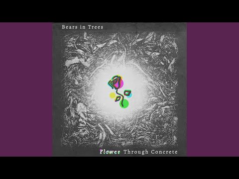 Evergreen - Bears In Trees