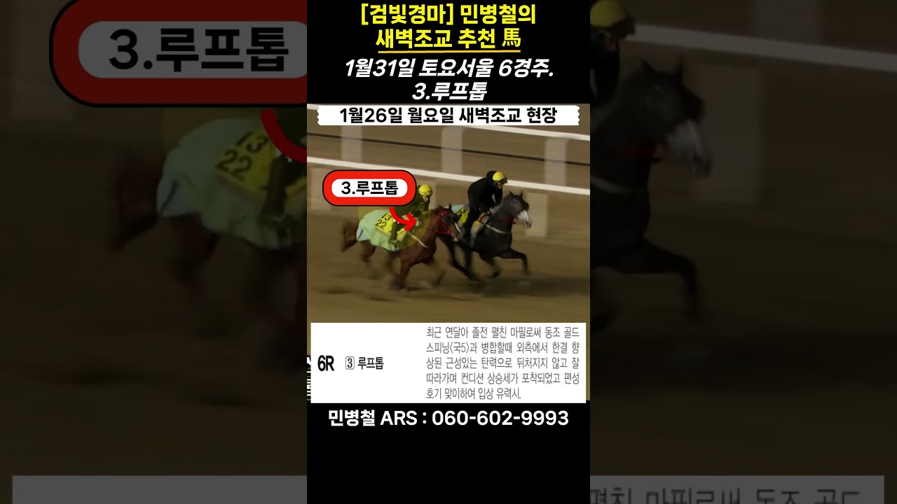 #1월31일 토요일!민병철의 새벽조교 우수馬!
