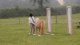 July 2016 Class 34 Kirsty Thompson & Potsford Princess Candy