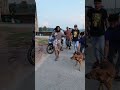 Funny Video Shots Funny Alamin9930 Funny Video Shots Funny Alamin9930