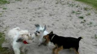 MVI_0896.AVI