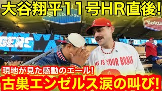 現地が見た涙の叫び！11号HR直後に古巣エンゼルスまさかの感動エール！届け愛の応援歌【現地取材】