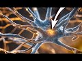 Your BRAIN Repairs Itself at the Cellular Level • 46Hz Binaural Beats