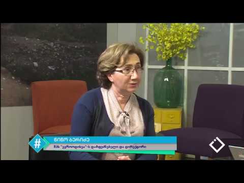 რატომ შეაჩერეს გაცვლითი პროგრამა - ევრო ოდისეა? / ნინო ბერაძე /  ჰეშთეგი / Hashtag