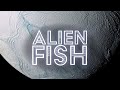 Why Enceladus is the place for Marine Aliens