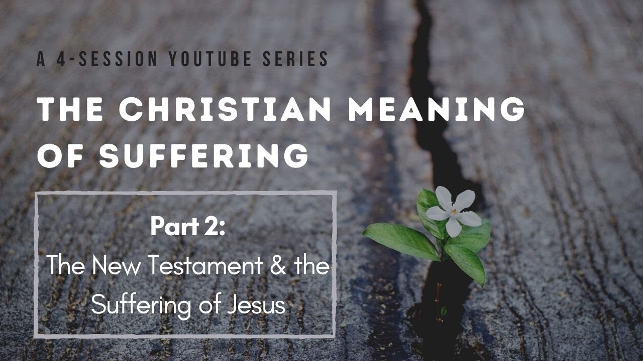 Suffering (Part 2) - Jesus Christ & the Salvific Meaning of Suffering ...