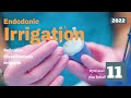 Endodontic irrigation المحاضرة 11 في علاج العصب mp3