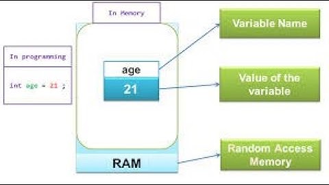 Variable, Datatype and Space Holder in C Language || Format Specifier in C Language in Urdu