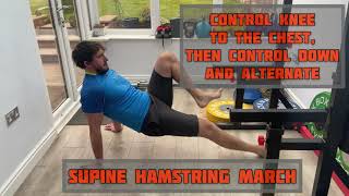 Supine Hamstring March Net Worth