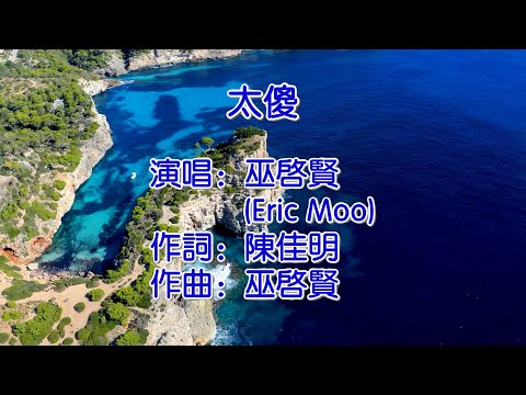 太傻   巫启贤