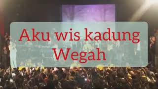 Menangis hati ini,aku ora peduli,hancurnya harapanku modar karepmu,memory berkasih modar karepmu!!!!