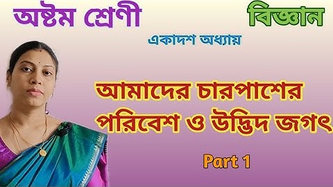 বাঁশ কচুরিপানা শাল | আমাদের চারপাশের পরিবেশ ও উদ্ভিদ জগৎ Part 1| Class 8 Science Chapter 11 part 1 