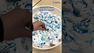 Dive into our under the sea tuff tray! Easy to create at home or in the classroom!🐋