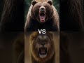 BEARS VERSUS - #ai #animals #animation #eagle #hayvan #lion #bear #lionking #aslan #wolf #hayvanlar