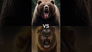 BEARS VERSUS - #ai #animals #animation #eagle #hayvan #lion #bear #lionking #aslan #wolf #hayvanlar