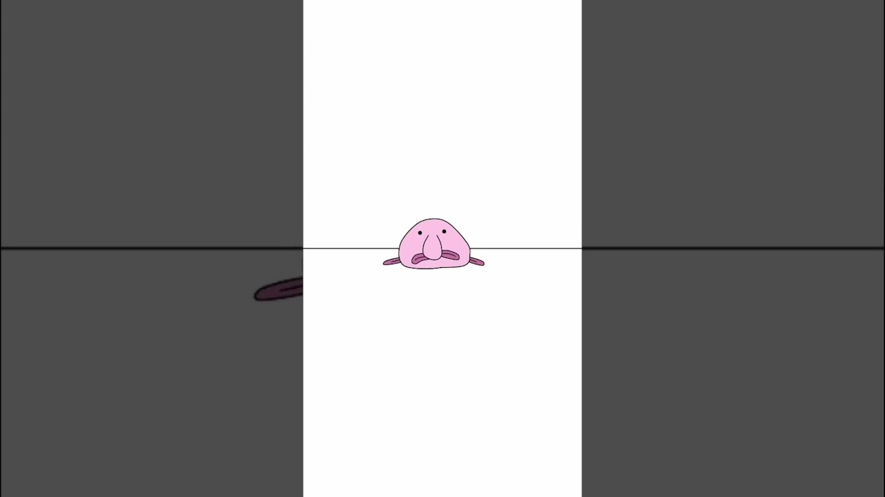 Cha Cha Real Smooth (Blobfish Animation)