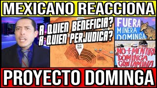 Mexicano REACCIONA A "PROYECTO DOMINGA" CHILE 🔴 #Chile #Valparaiso #ViñaDelMar #BioBio #NoADominga