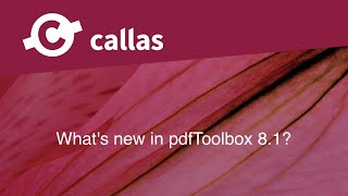 What's new in pdfToolbox 8.1? screenshot 2