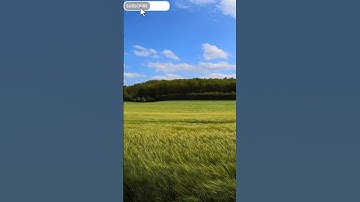 سورة الاخلاص القارئ يحيى صدقي