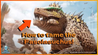 The Best & Easiest Way to Tame the Fasolasuchus | Ark Survival Ascended How To Guide