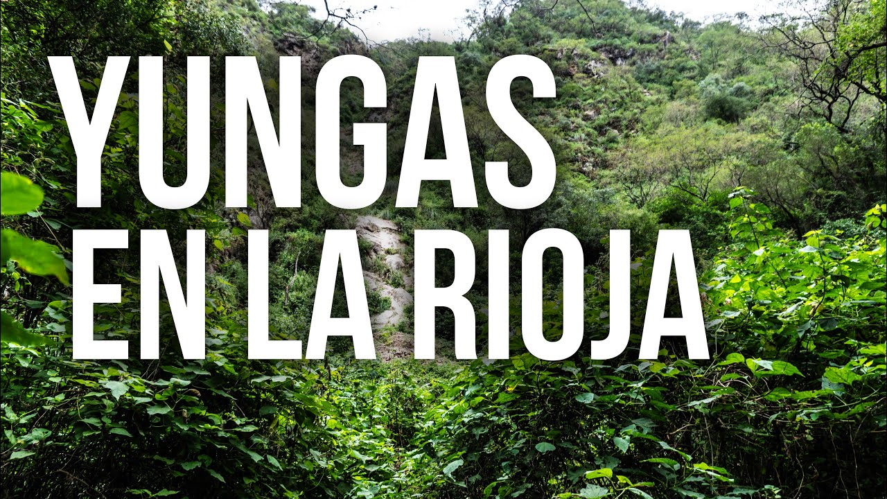 SELVA YUNGUEÑA 🇦🇷 a solo 10 KM de La Rioja Capital